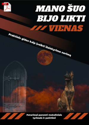 Mano šuo bijo likti vienas