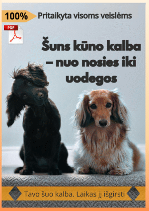 Šuns kūno kalba - nuo nosies iki uodegos
